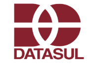 Logo DataSul