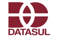 Logo DataSul